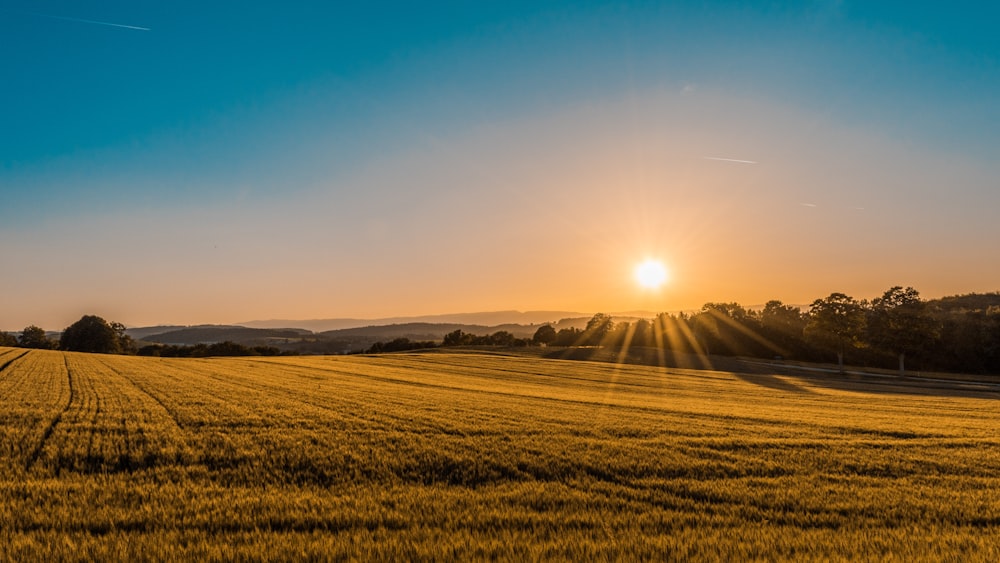Beautiful Texas Farm Landscape