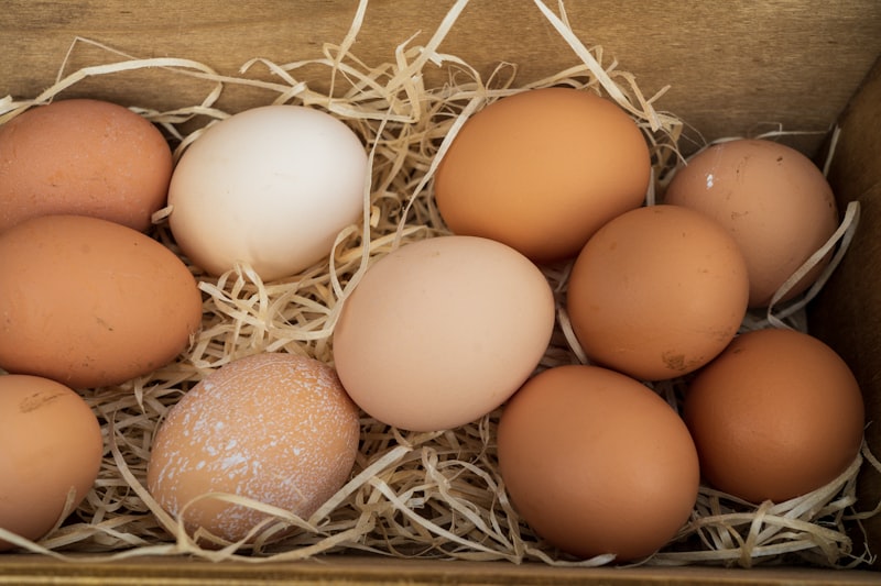 Farm Fresh Eggs